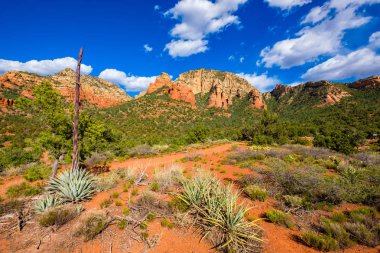Güzel Sedona manzara