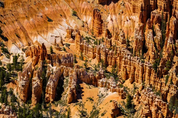 Bryce Canyon Utah — Stock Photo, Image