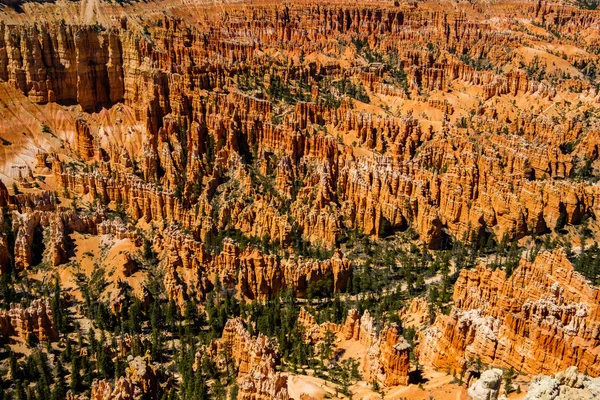 Vue Rapprochée Beauté Naturelle Des Magnifiques Hoodoos Parc National Bryce — Photo