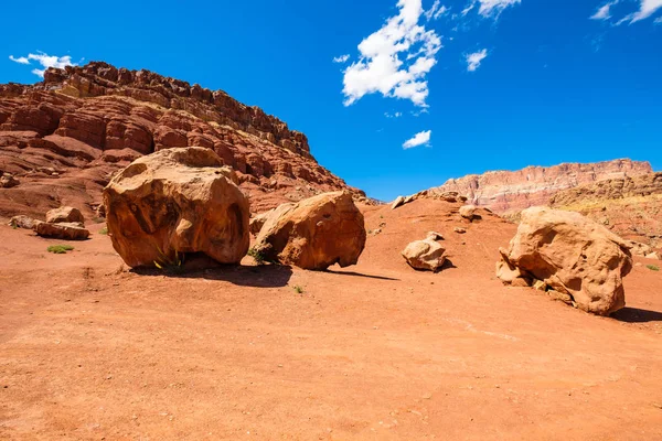 Arizona desert landscape — Stock Photo, Image