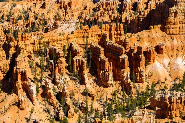 Bryce canyon utah — Photo