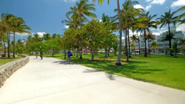 Landschaftlich reizvoller Miami-Strand — Stockvideo