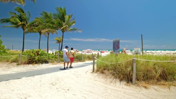 Natursköna Miami Beach — Stockvideo
