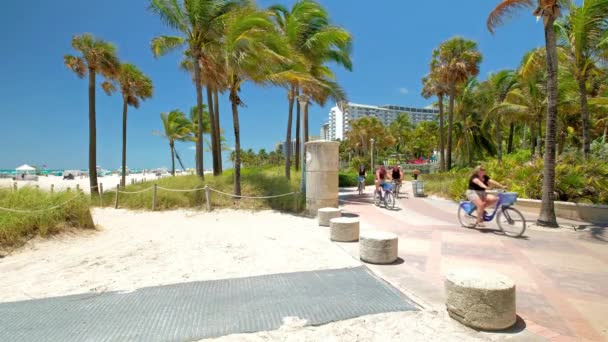 Spiaggia panoramica di Miami — Video Stock