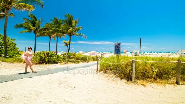 Spiaggia panoramica di Miami — Video Stock