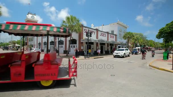 Key West Cityscape — Stok video