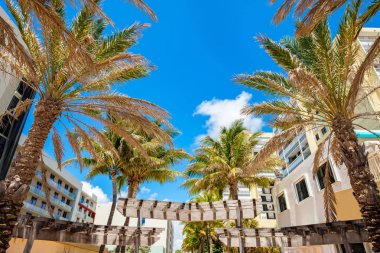 Hollywood Beach Florida
