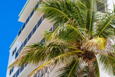 Hollywood Beach Florida