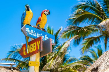 Hollywood Beach Florida
