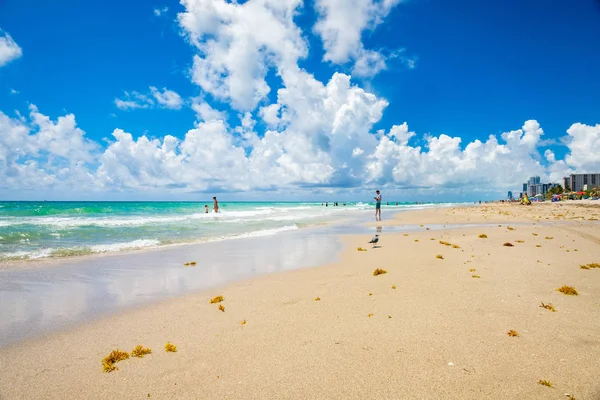 Hollywood Beach Florida — Stock Photo, Image