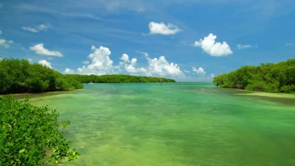 Florida Keys paisagem marinha — Vídeo de Stock