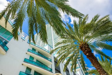 Cityscape Downtown Miami
