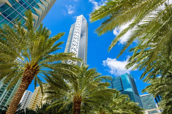 Downtown Miami Cityscape — Stock Photo, Image