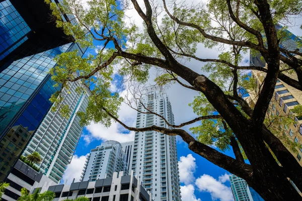 Paesaggio urbano del centro di Miami — Foto Stock