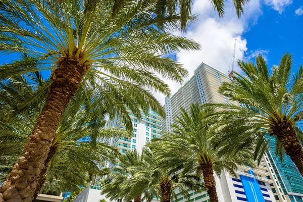 Paesaggio urbano del centro di Miami — Foto Stock