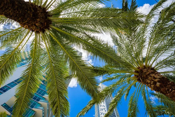 Paisaje urbano del centro de la ciudad de Miami — Foto de Stock