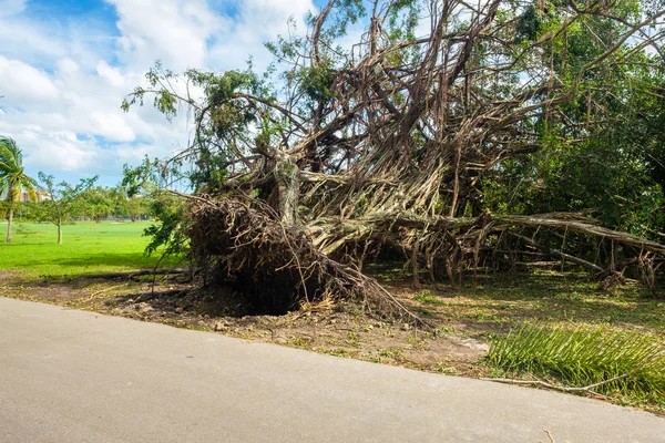 Hurikán Irma Aftermath — Stock fotografie