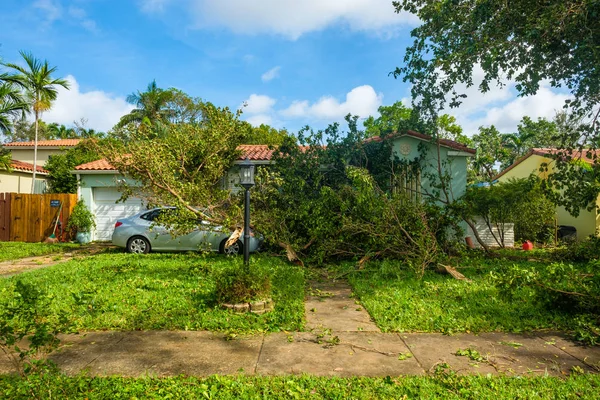 Kasırga Irma Aftermath