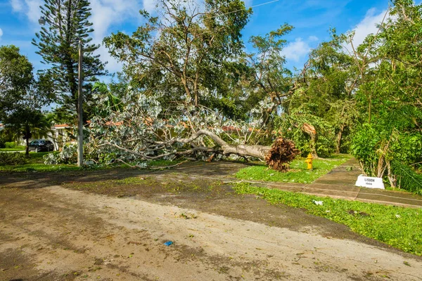 Furacão Irma Consequências — Fotografia de Stock