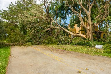 Kasırga Irma Aftermath