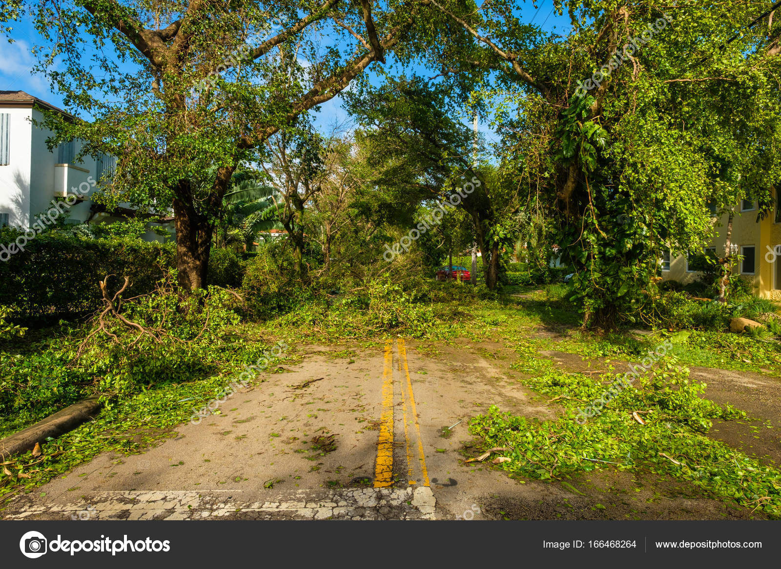 Hurricane Irma Aftermath Stock Editorial Photo - 