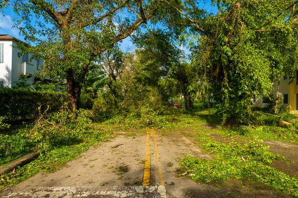 Consecuencias del huracán Irma — Foto de Stock