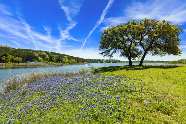 Texas Hill Country — Stok fotoğraf