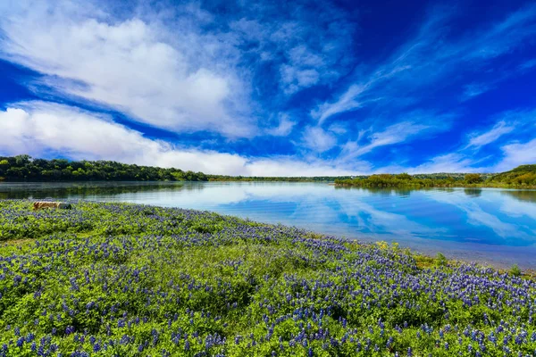 Texas Hill Country — Stok fotoğraf