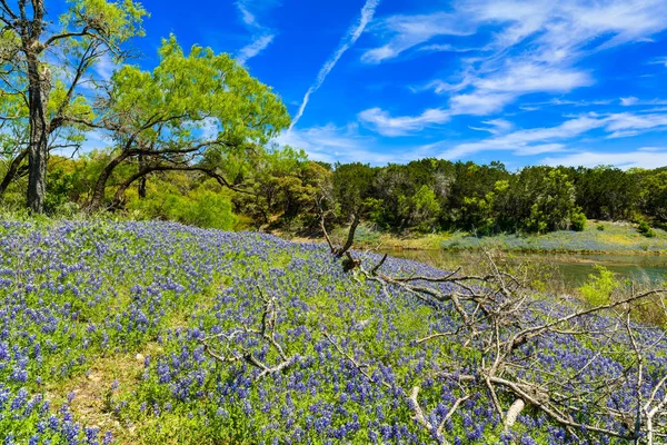 Texas-dombvidék — Stock Fotó