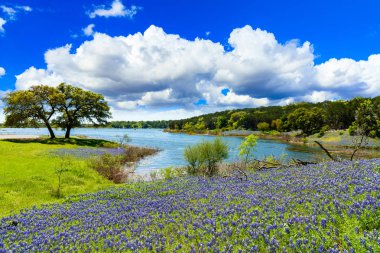 Texas Hill Country clipart