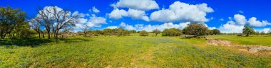 Texas Hill Country