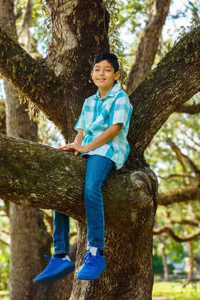 Jeune Adolescent Profitant Plein Air Sur Chêne Dans Cadre Parc — Photo