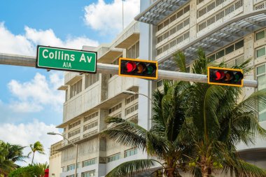 güzel miami beach 
