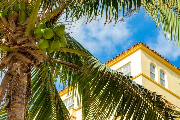 Beautiful Miami Beach — Stock Photo, Image