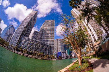 Downtown miami manzarası
