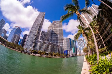 Downtown miami manzarası
