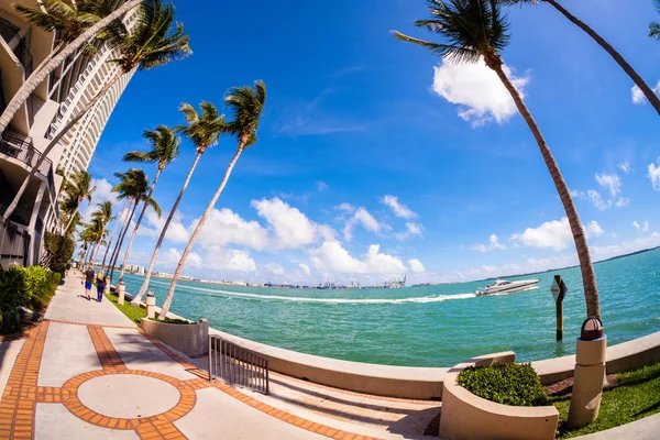 Paisaje urbano del centro de la ciudad de Miami —  Fotos de Stock