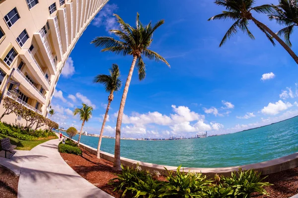 Paisaje urbano del centro de la ciudad de Miami — Foto de Stock