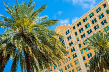 Şehir merkezindeki Coral Gables