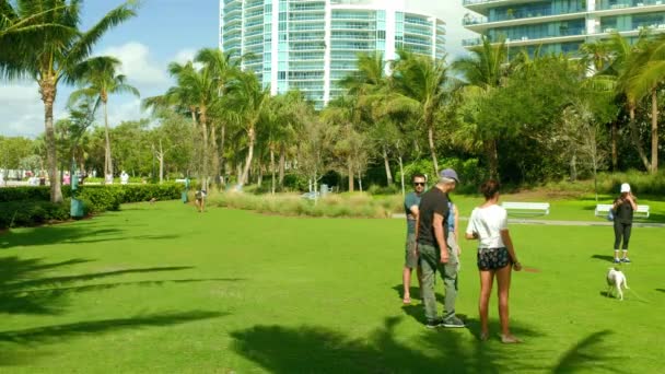 Miami Beach Flórida Fevereiro 2018 Vídeo Alta Definição Visitantes Com — Vídeo de Stock