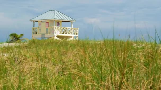 Super High Definition Video Vom Wunderschönen Strand Von Candon Park — Stockvideo