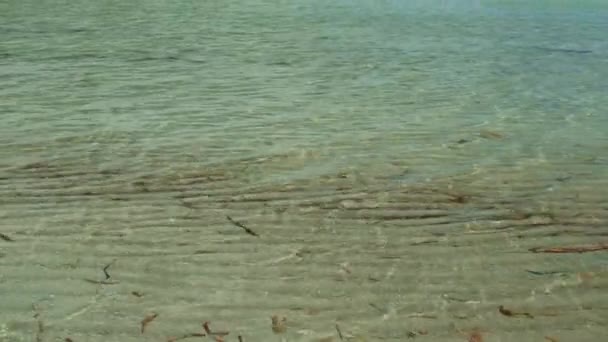 Vidéo super haute définition avec mouvement panoramique du rivage à marée basse et eau cristalline de la belle plage de Crandon Park à Key Biscayne à Miami .