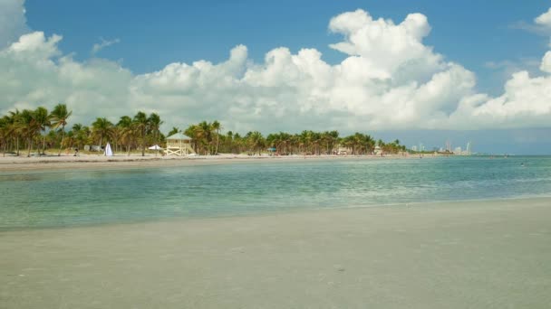 Super Vysoké Rozlišení Video Odlivu Pobřeží Písčině Krásné Crandon Park — Stock video