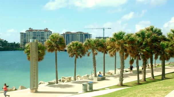 Miami Beach Flórida Fevereiro 2018 Vídeo Alta Definição Dos Visitantes — Vídeo de Stock