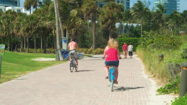 Miami Beach Flórida Fevereiro 2018 Vídeo Alta Definição Visitantes Desfrutando — Vídeo de Stock