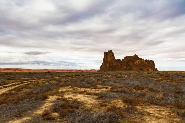 유타 사막 풍경 — 스톡 사진