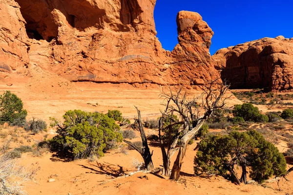 Nationaal park Arches — Stockfoto