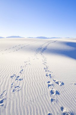 Beyaz Kumlar Alçıtaşı Kumulları