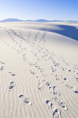 Beyaz Kumlar Alçıtaşı Kumulları