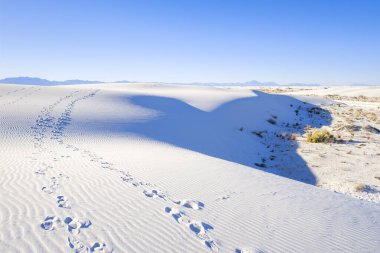Beyaz Kumlar Alçıtaşı Kumulları